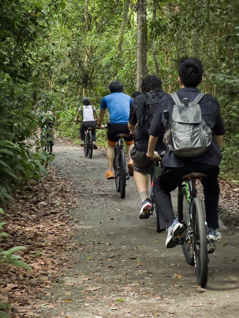 Team members cycling along a shaded trail on Pulau Ubin